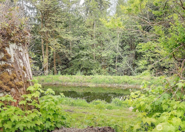 view of local wilderness featuring a large body of water