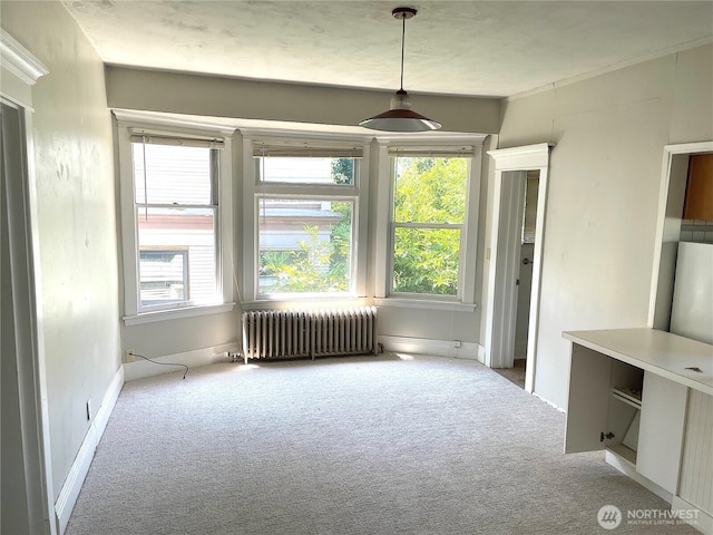 1808 E Harrison St, Seattle, WA 98112 - dining room with radiator heating unit, carpet, healthy amount of natural light, and baseboards