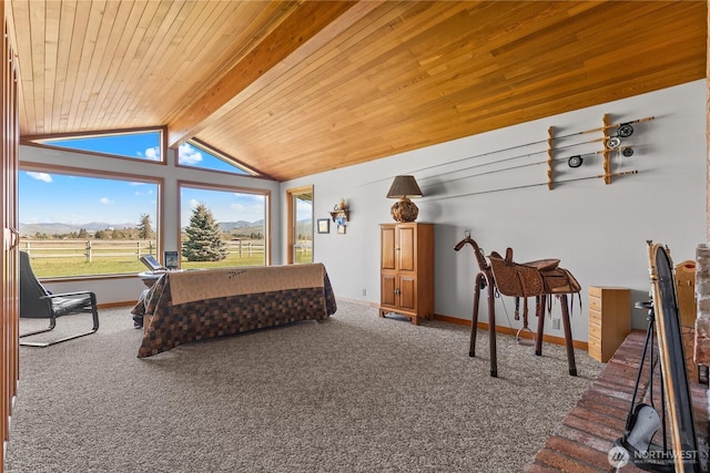 bedroom featuring carpet, a mountain view, baseboards, and wood ceiling