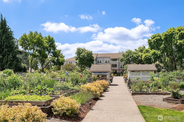 view of home's community featuring a vegetable garden