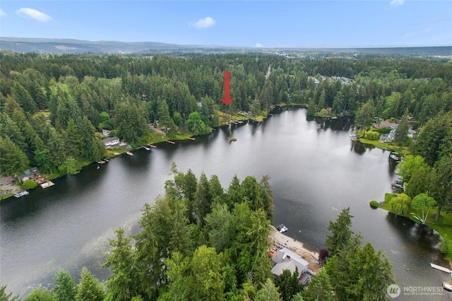 35449 34th Ave S, Auburn, WA 98001 - drone / aerial view of a heavily wooded area and a nearby body of water