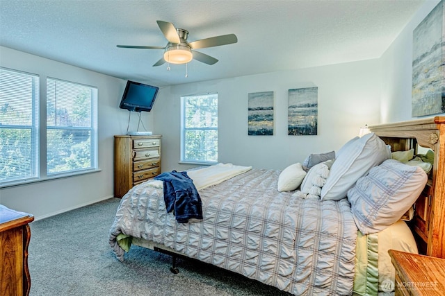 14125 116th Ave E, Puyallup, WA 98374 - photo 25