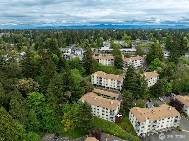 drone / aerial view of a heavily wooded area