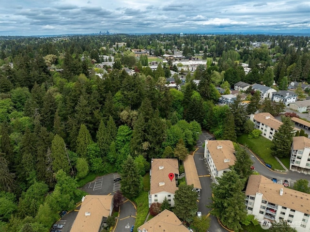 aerial perspective of suburban area with a forest