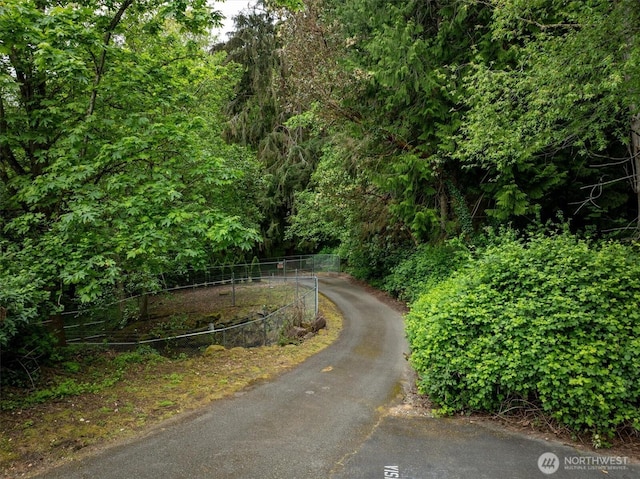 view of asphalt road featuring a view of trees