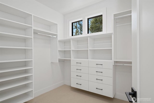 1831 4th St Unit A, Kirkland, WA 98033 - walk in closet featuring light colored carpet