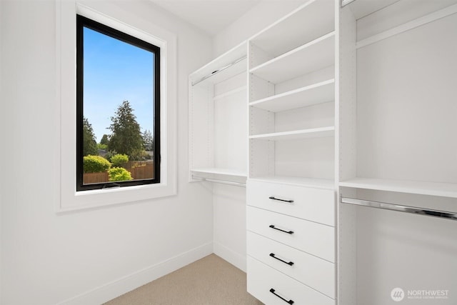 1831 4th St Unit A, Kirkland, WA 98033 - walk in closet featuring light carpet