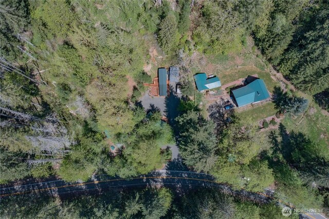 4280 N Lake Cushman Rd, Hoodsport, WA 98548 - photo 38
