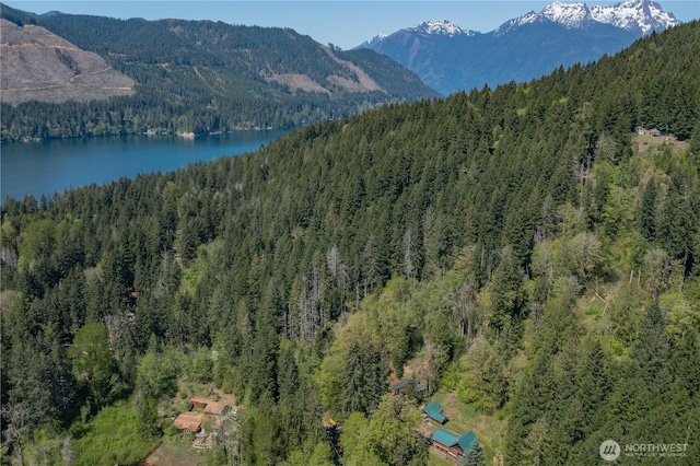4280 N Lake Cushman Rd, Hoodsport, WA 98548 - photo 40