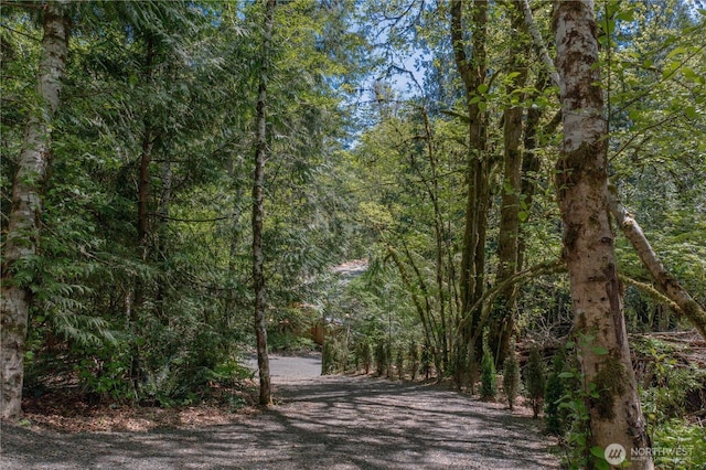 4280 N Lake Cushman Rd, Hoodsport, WA 98548 - photo 37
