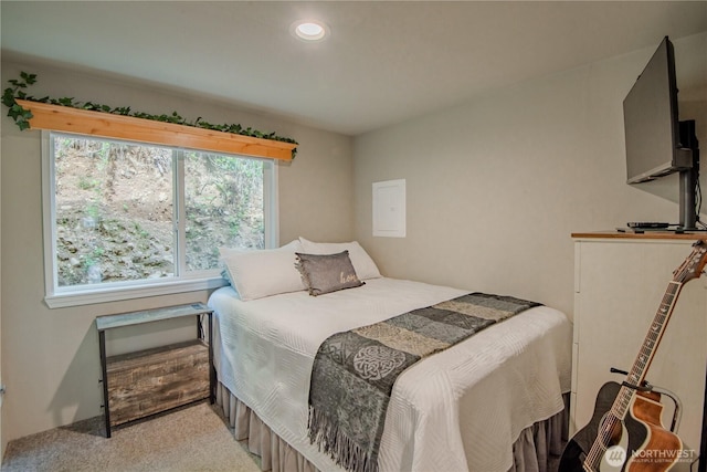 4280 N Lake Cushman Rd, Hoodsport, WA 98548 - photo 11