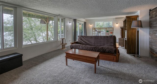 712 Mt Olympus Ave SE, Ocean Shores, WA 98569 - living area featuring carpet floors, healthy amount of natural light, a textured ceiling, and a wall unit AC