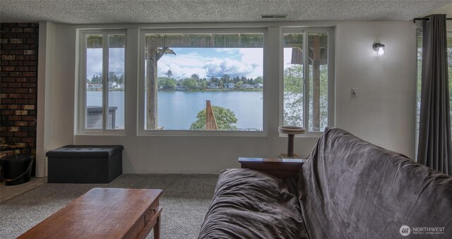712 Mt Olympus Ave SE, Ocean Shores, WA 98569 - living area featuring a textured ceiling, a water view, and carpet flooring