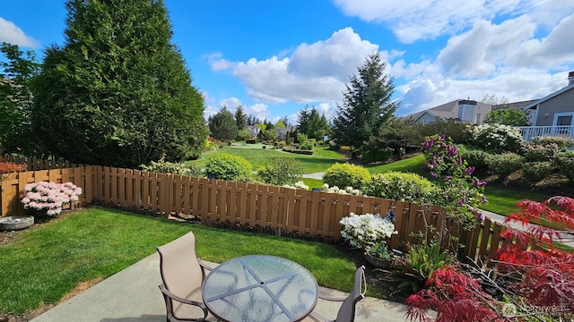 view of yard featuring a patio area