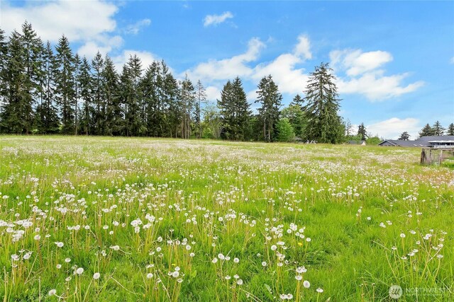 view of undeveloped land