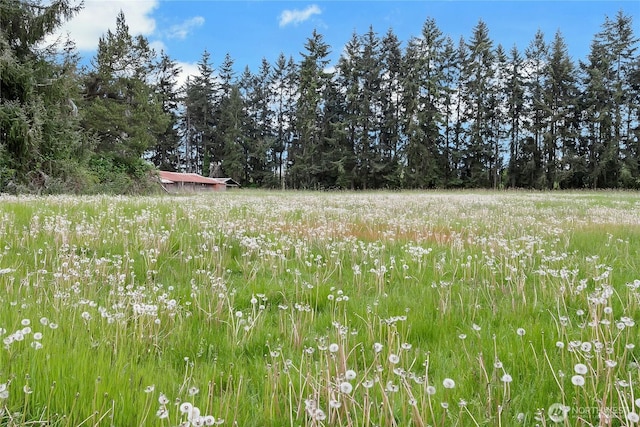 view of nature