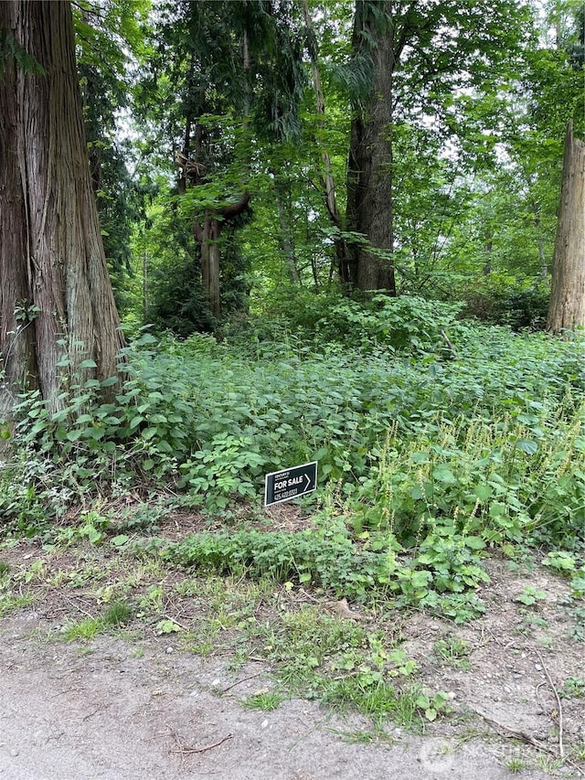52F Saratoga Dr, Hat Island, WA 98206 - photo 4