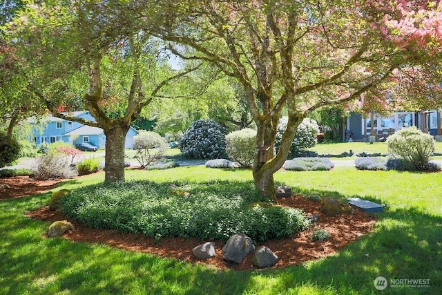 view of grassy yard