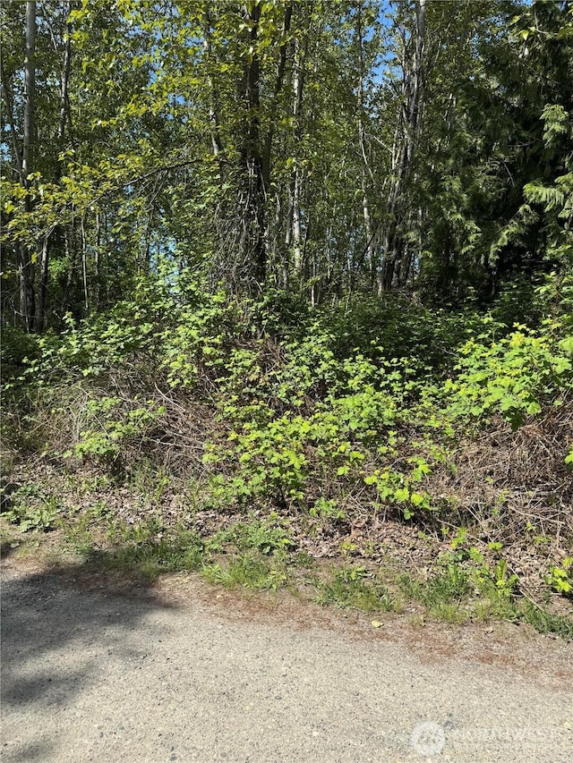 101XX 221st Ave E, Bonney Lake, WA 98391 - photo 1