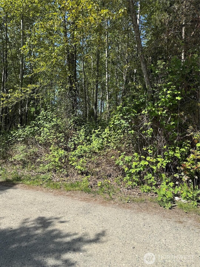 101XX 221st Ave E, Bonney Lake, WA 98391 - photo 2