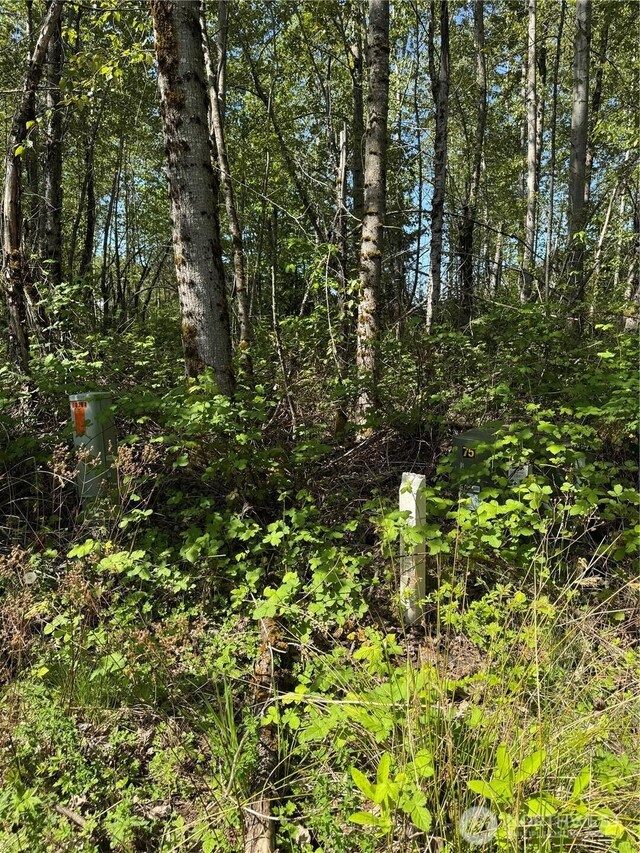 101XX 221st Ave E, Bonney Lake, WA 98391 - photo 3