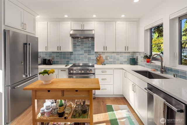 10419 41st Ave SW Unit B, Seattle, WA 98146 - kitchen with high quality appliances, a sink, under cabinet range hood, tasteful backsplash, and recessed lighting