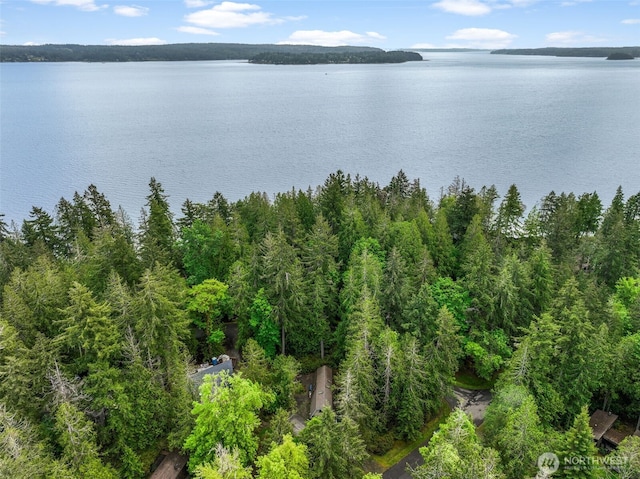 436 E Pointes Dr E, Shelton, WA 98584 - water view