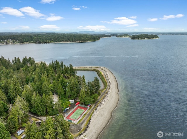 436 E Pointes Dr E, Shelton, WA 98584 - bird's eye view of a nearby body of water