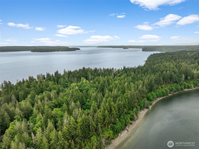 436 E Pointes Dr E, Shelton, WA 98584 - water view with a forest