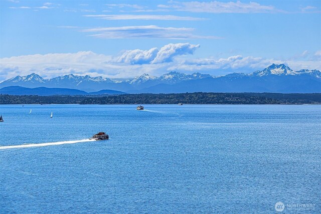 1009 Western Ave Unit 1203, Seattle, WA 98104 - water view featuring mountains