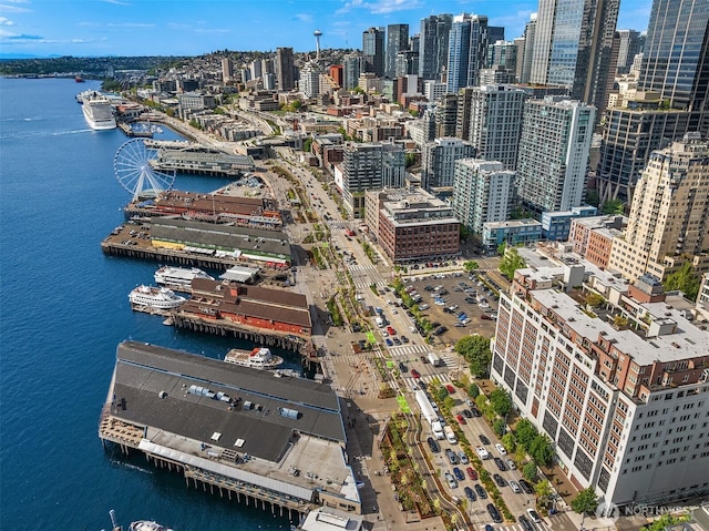1009 Western Ave Unit 1203, Seattle, WA 98104 - aerial view of a skyline view and a nearby body of water