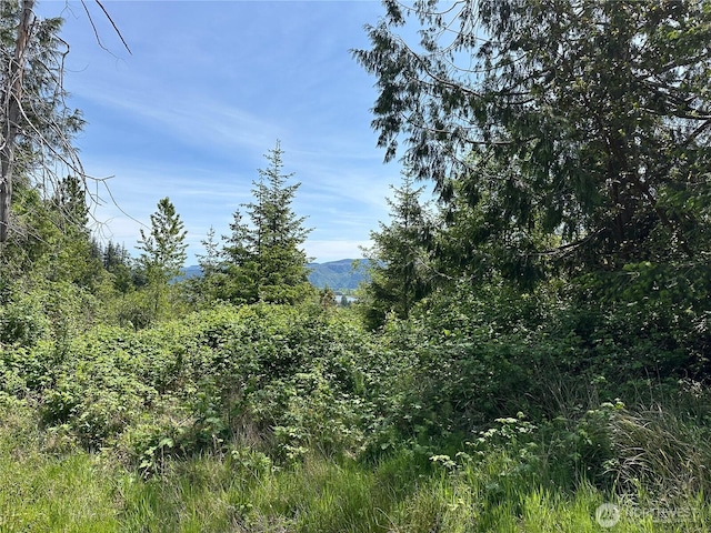0 Maple Ridge Rd, Cathlamet, WA 98612