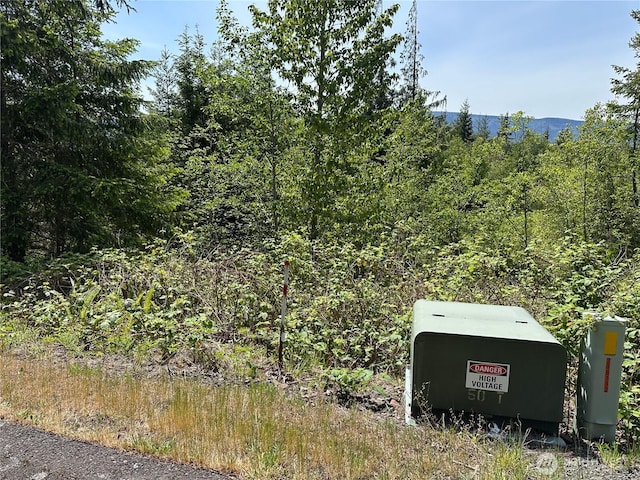 0 Maple Ridge Rd, Cathlamet, WA 98612