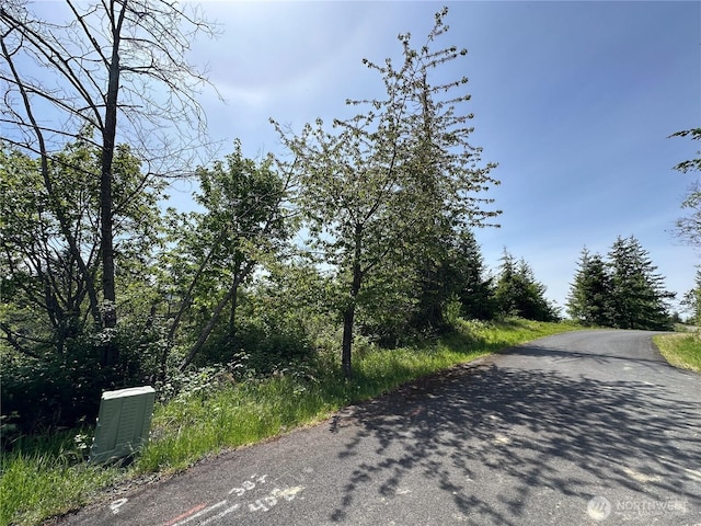 0 Maple Ridge Rd, Cathlamet, WA 98612