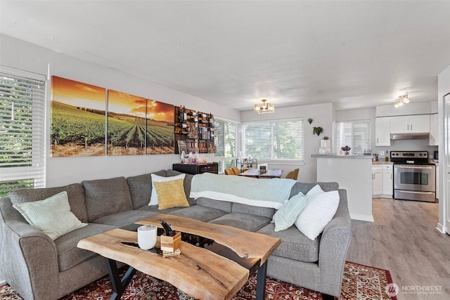 3908 243rd Pl SE Unit Q-203, Bothell, WA 98021 - living room with light wood-style flooring