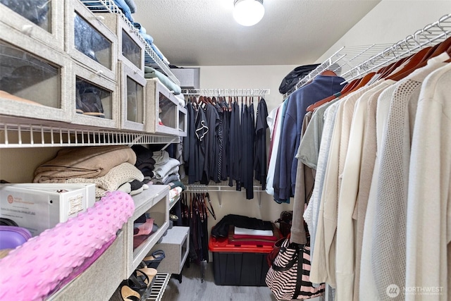 3908 243rd Pl SE Unit Q-203, Bothell, WA 98021 - walk in closet featuring wood finished floors