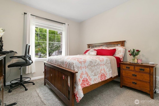 3660 22nd Ave NE, Olympia, WA 98506 - photo 12