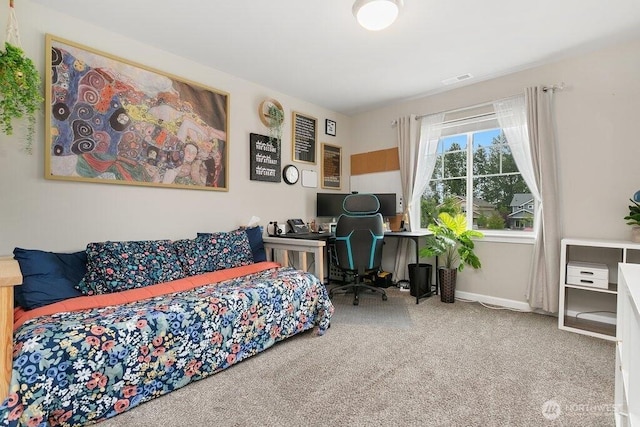 3660 22nd Ave NE, Olympia, WA 98506 - photo 23