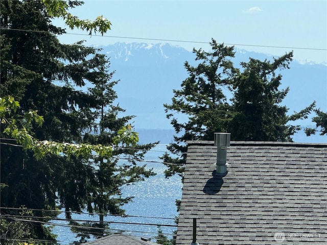 1274 Admirals Dr, Coupeville, WA 98239 - exterior view of a chimney