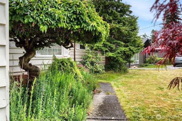 2129 H Ave, Anacortes, WA 98221 - view of green lawn