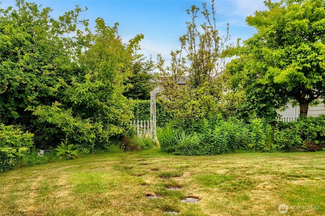 2129 H Ave, Anacortes, WA 98221 - view of grassy yard