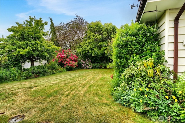 2129 H Ave, Anacortes, WA 98221 - view of grassy yard