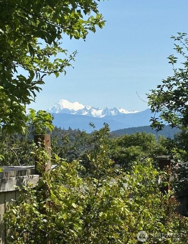 2129 H Ave, Anacortes, WA 98221 - mountain view