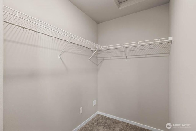 walk in closet with carpet and attic access