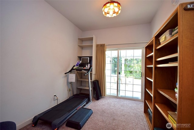workout room featuring carpet