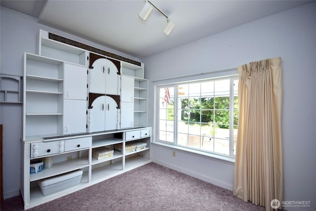mudroom with rail lighting, carpet flooring, and baseboards