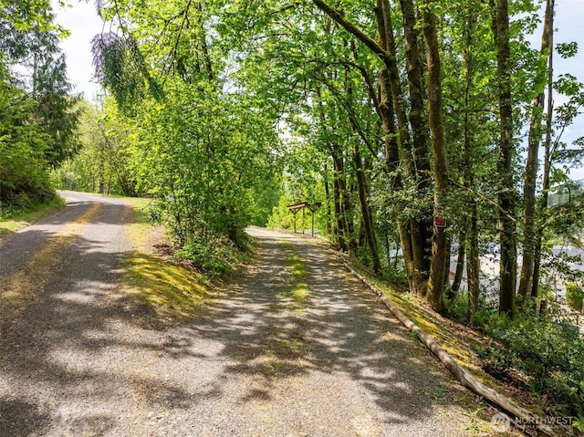 view of dirt / gravel road