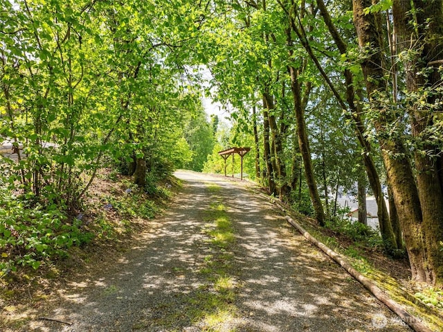 view of dirt / gravel road
