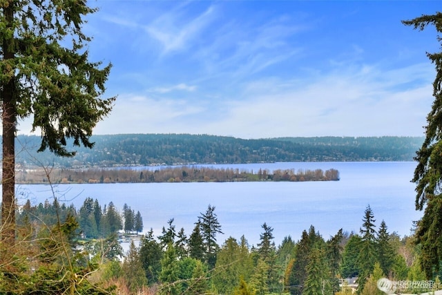 9416 NE 25th St, Clyde Hill, WA 98004 - water view featuring a heavily wooded area