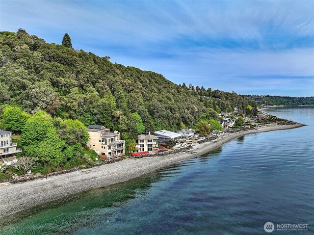 10857 Arroyo Beach Pl SW, Seattle, WA 98146